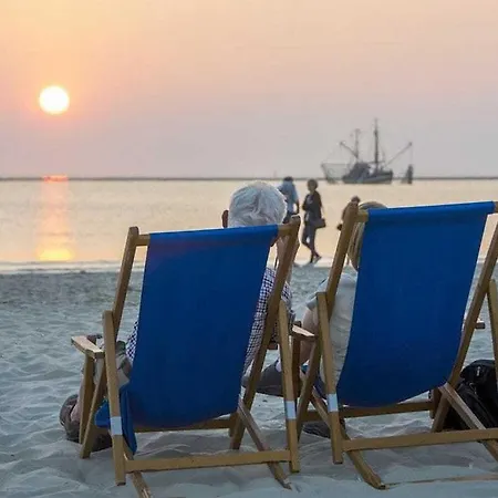 Ferienhaus Jackdaw's Nest At Westkaap 3d